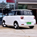 Pure electric vehicle Changan Lumins